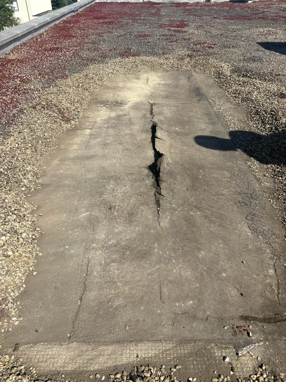Avant réparation : dalle béton fissurée sur une toiture végétalisée