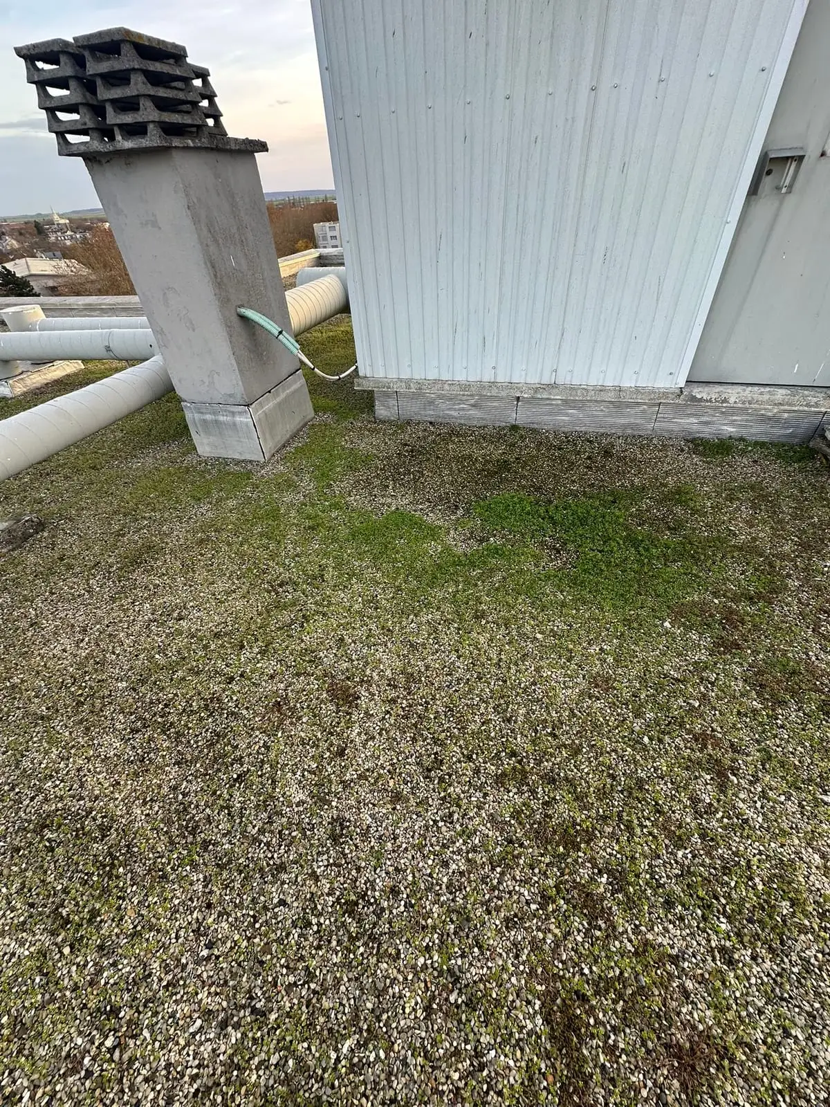 Avant entretien : tapis de mousse sur une toiture gravillonnée